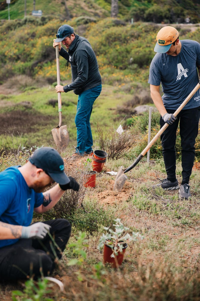 team working on a trail